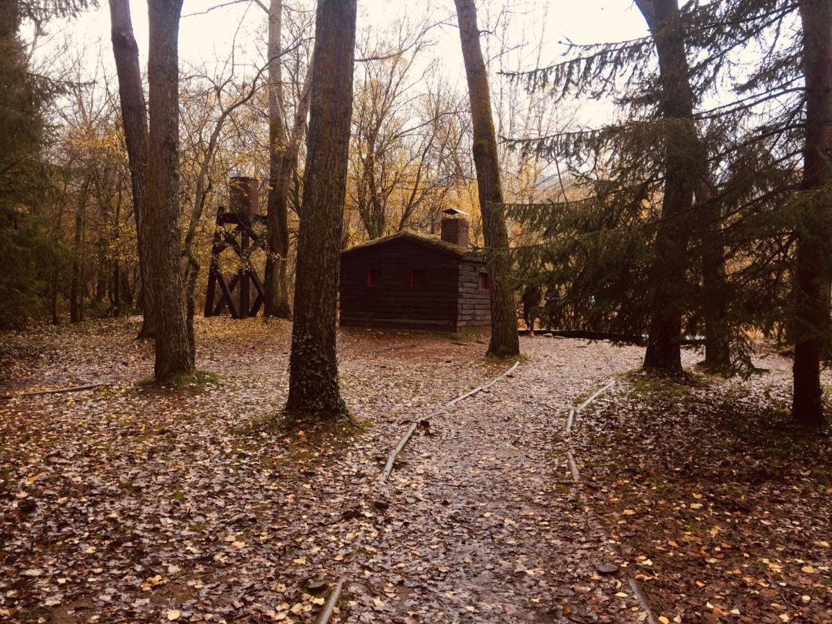 El Chalet Rascafría Dış mekan fotoğraf