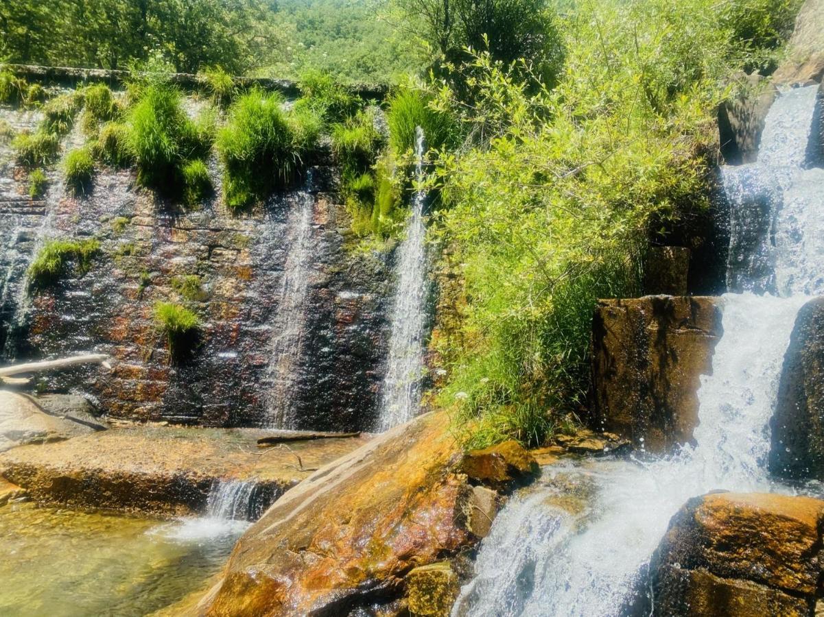 El Chalet Rascafría Dış mekan fotoğraf